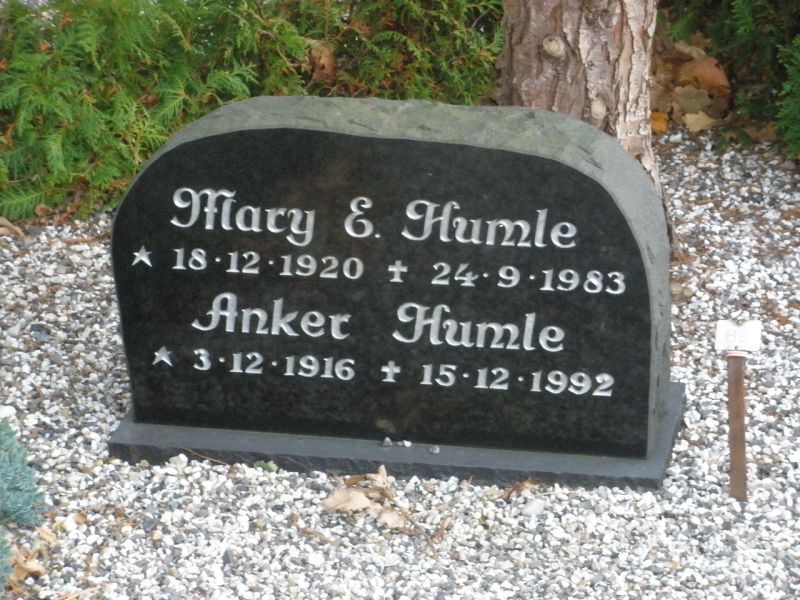 Anker Humle.JPG